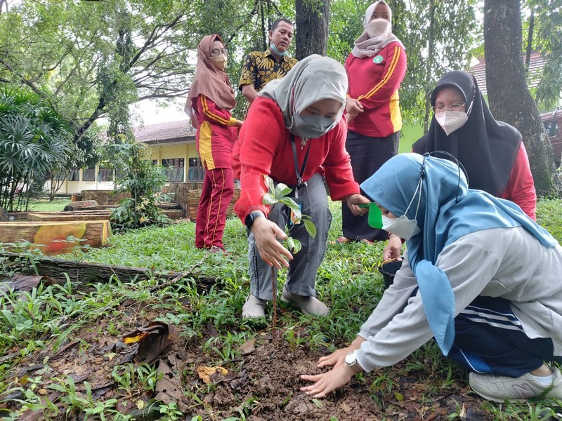 Hari Pohon Sedunia tahun 2022