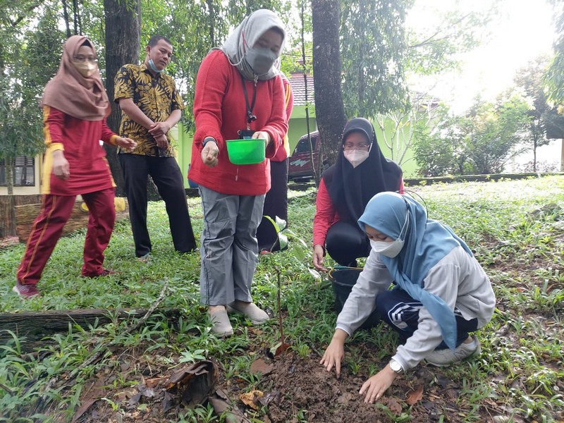 Hari Pohon Sedunia tahun 2022