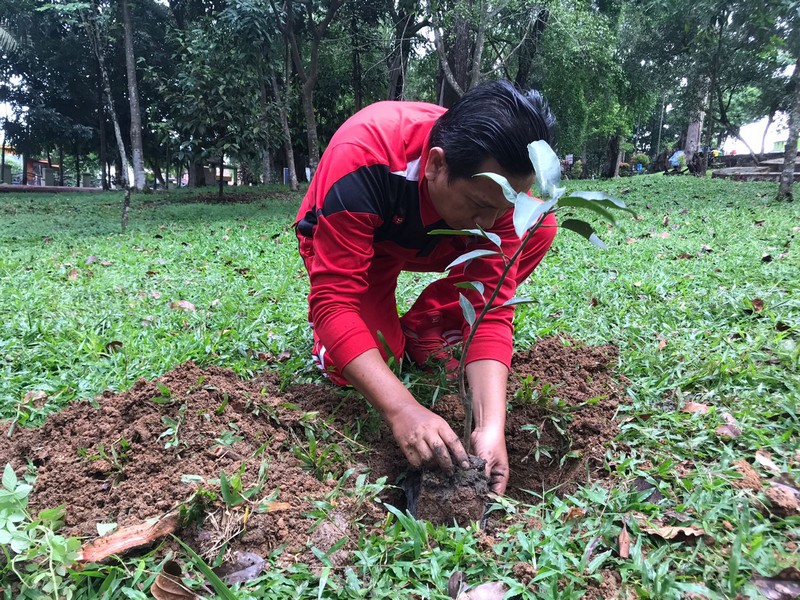 Hari Pohon Sedunia tahun 2022