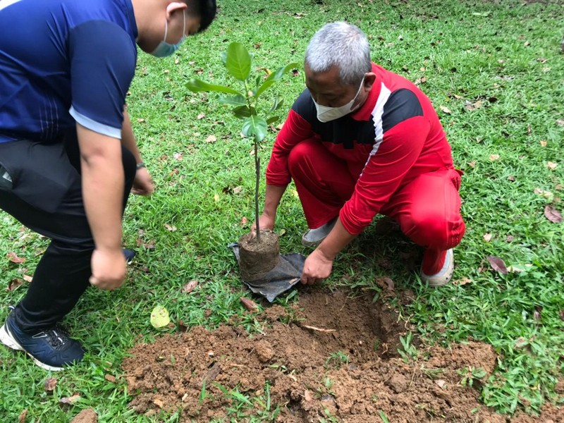Hari Pohon Sedunia tahun 2022