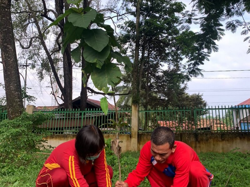 Hari Pohon Sedunia tahun 2022